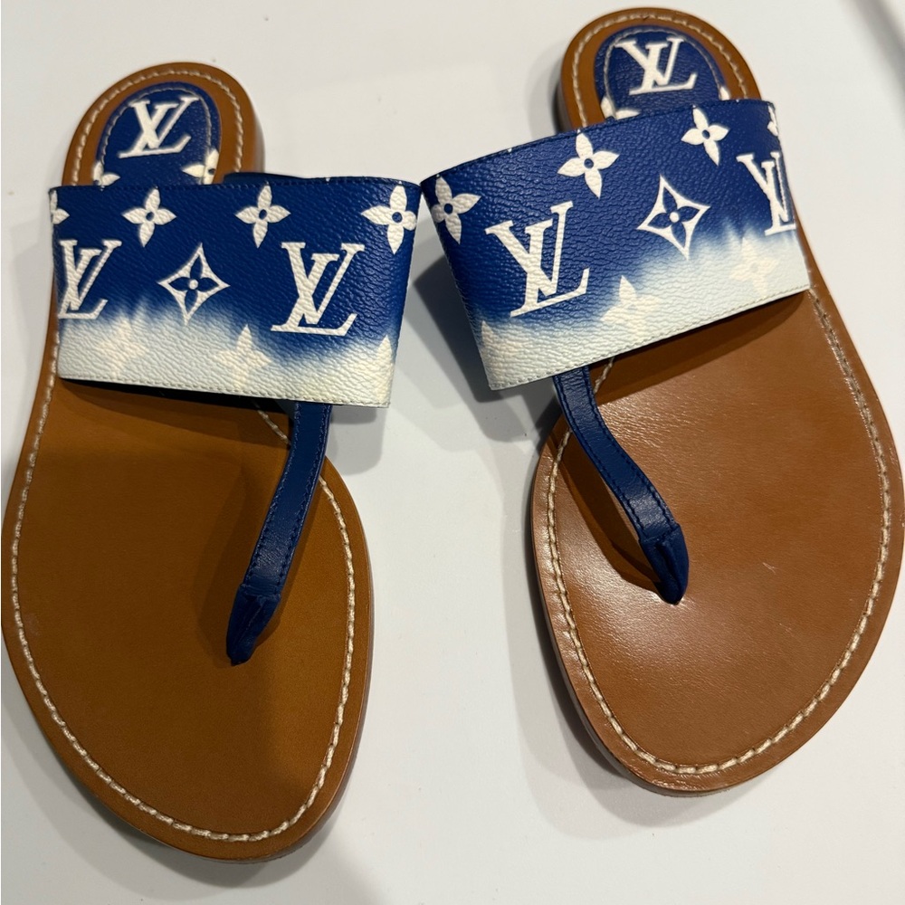 Louis Vuitton Blue and Tan Monogram Sandals